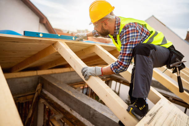 Best New Roof Installation  in Elkton, KY
