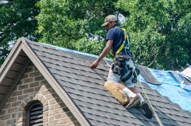 Best Residential Roofing Contractor  in Elkton, KY